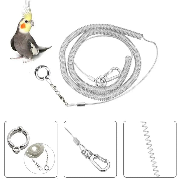 Planet Gates 3M/6M Parrot Bird Flying Training Leash Ultra-light Flexible Rope Anti-bite with Leg Ring Harness Bird Training Rope Outdoor