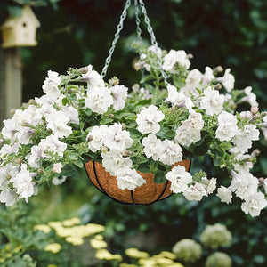 Planet Gates 3PCS 25.4cm 3pcs, Natural Coco Liners: 3pcs/6pcs Hanging Basket Replacement,25.4/30.48/35.56 Cm Coconut Lined Circular Coconut Hanging Basket Lined Plantation 100% Natural Coconut Lined Flower And Vegetable Coconut Basket
