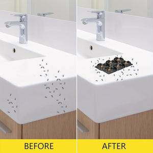 Planet Gates 3pcs 3pcs, Ant Killer Ant Traps Spider Traps Effective Insect Traps Indoor Ant Bait Glue Traps For Bugs Outdoor Home Kitchen Cricket Crawling Bugs Bait Fragrance Pheromone Free