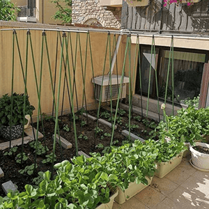 Planet Gates 3pcs 3pcs Plant Support Awning Pillar Accessories Clip Quickly Set Up Climbing Vine Bracket Plant Steel Pipe Bracket Garden Support