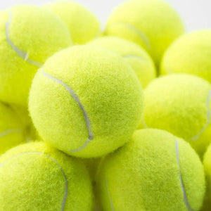 Planet Gates 3PCS / China 3PCS High Elasticity Tennis Professional Tennis Training Game Ball Outdoor Dogs Bite Chase and Chomp 63mm Tennis Ball