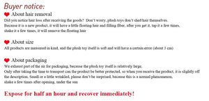 Planet Gates 40/55cm Kawaii Raccoon Plush Toy Lovely Raccoon Cute Soft Stuffed Animals Doll Pillow For  Birthday Gift