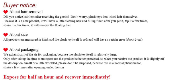 Planet Gates 40/55cm Kawaii Raccoon Plush Toy Lovely Raccoon Cute Soft Stuffed Animals Doll Pillow For  Birthday Gift