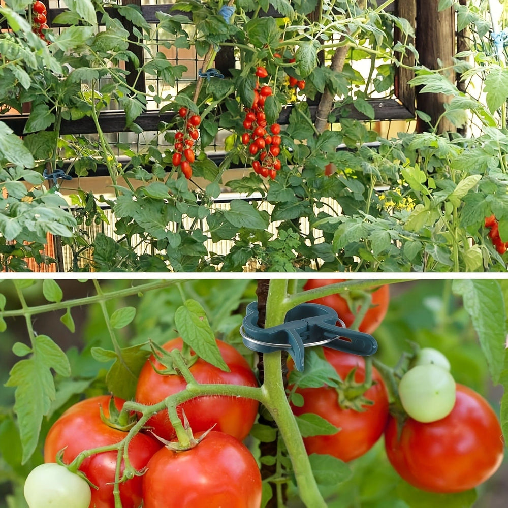 Planet Gates 40pcs (20 Large + 20 Small) 40pcs, Plant Support Clips, 2 Size Gentle Flower Plant Clamps Gardening Lever Loop Gripper Clips Garden Clips For Supporting Or Straightening Plant Stems, Stalks, And Vines