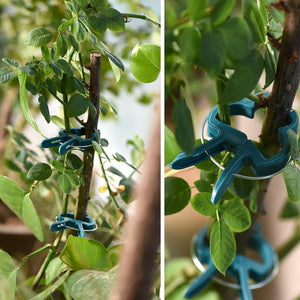 Planet Gates 40pcs, Plant Support Clips, 2 Size Gentle Flower Plant Clamps Gardening Lever Loop Gripper Clips Garden Clips For Supporting Or Straightening Plant Stems, Stalks, And Vines