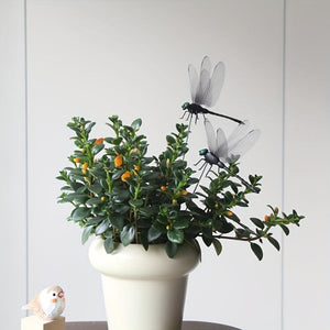 Planet Gates 4pcs / Black 4pcs Dragonfly Garden Stake, Plastic Yard Sign With Stake For Garden Decor, Halloween Decor, Fall Decor, Thanksgiving