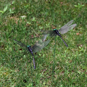 Planet Gates 4pcs / Black 4pcs Dragonfly Garden Stake, Plastic Yard Sign With Stake For Garden Decor, Halloween Decor, Fall Decor, Thanksgiving