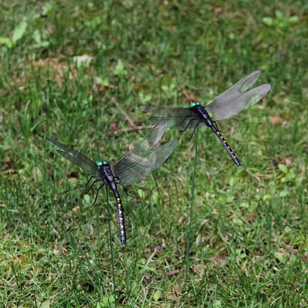 Planet Gates 4pcs / Black 4pcs Dragonfly Garden Stake, Plastic Yard Sign With Stake For Garden Decor, Halloween Decor, Fall Decor, Thanksgiving