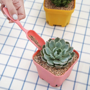 Planet Gates 4Pcs Garden Planter Kit Sowing Shovel Scoop Bucket Spoon Succulents Seedlings Tool Bonsai Fertilizer Drilling Device DIY
