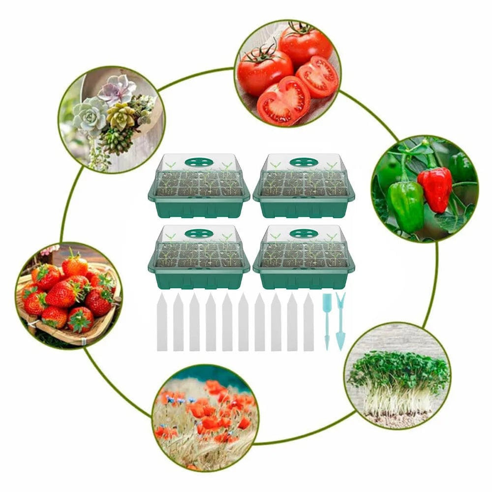 Planet Gates 4Pcs Mini Greenhouse 12 Compartments Indoor Greenhouse Propagation Greenhouse Nursery Box With Air Vent