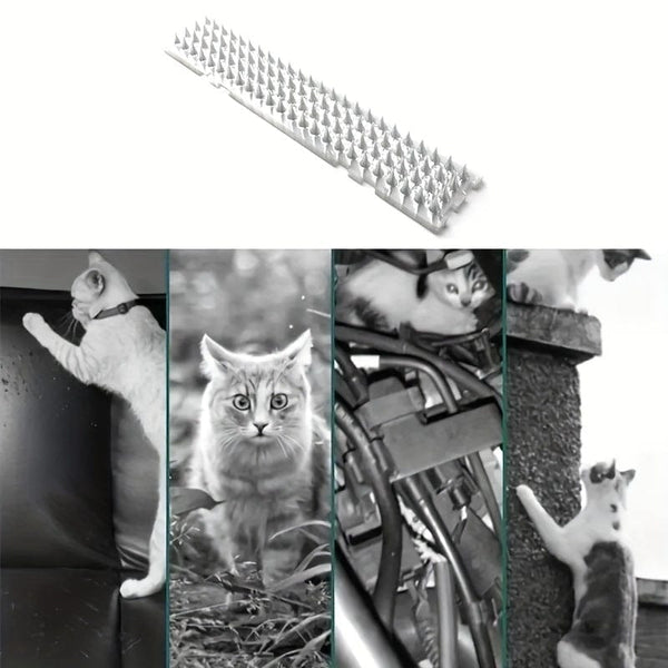 Planet Gates 4pcs, Transparent Plastic Anti-Cat Thorn Bird Protection Nails Suitable For Indoor And Outdoor Use To Keep Pigeons And Squirrels Away