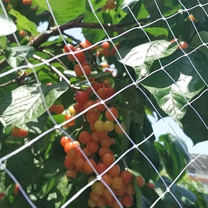 Planet Gates 5.0×5.0meter 1pc, Bird Protection Net, Fine-meshed Bird Net, Cat Net For Balconies Without Drilling, Leaf Net For Fine-meshed Pond Cover Net, Pond Net For Pond, Chicken Net (5.0 X 5.0 Meter)