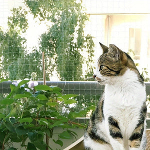 Planet Gates 5.0×5.0meter 1pc, Bird Protection Net, Fine-meshed Bird Net, Cat Net For Balconies Without Drilling, Leaf Net For Fine-meshed Pond Cover Net, Pond Net For Pond, Chicken Net (5.0 X 5.0 Meter)