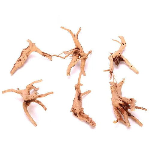 Planet Gates 5-10cm(3PCs) Natural Driftwood Cuckoo Roots Dead-wood Tree Trunk Micro Landscape Creative Reptile Cylinder Fish Tank Ornament Aquarium Decor