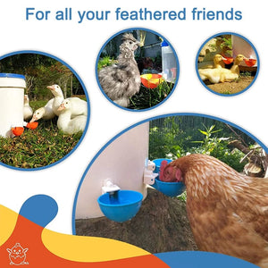 Planet Gates 5/10PCS Automatic Chicken Water Feeder Drinking Cups Poultry Kit for Chicks Duck Goose Turkey Quail Feeding & Watering Supplie