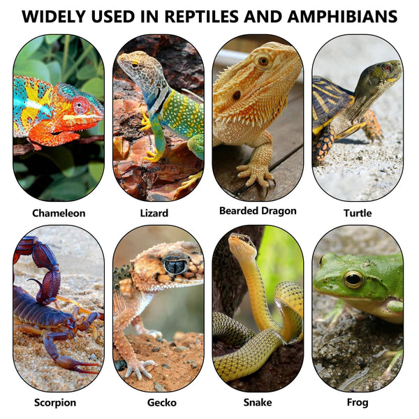 Planet Gates 5-45W Terrarium Reptiles Heat Mat Climbing Pet Heating Warm Pads Adjustable Temperature Controller Mats Reptiles Supply EU Plug