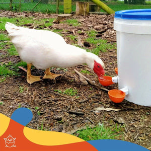 Planet Gates 5 Packs, Large Automatic Chicken Waterer Cups Chicken Water Feeder Suitable For Chicks, Duck, Goose, Turkey And Bunny Poultry Water Feeder Kit (Orange)