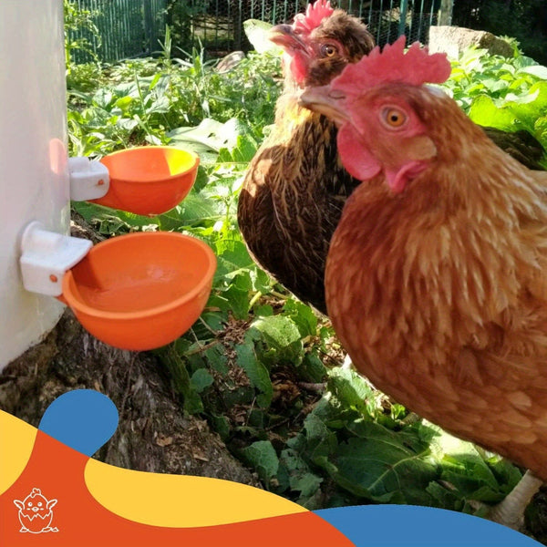 Planet Gates 5 Packs, Large Automatic Chicken Waterer Cups Chicken Water Feeder Suitable For Chicks, Duck, Goose, Turkey And Bunny Poultry Water Feeder Kit (Orange)