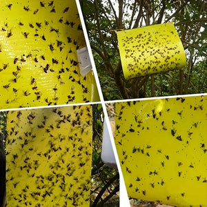Planet Gates 50/100pcs Double-sided Flying Insect Traps Designed For Gardens And Farms Effectively Removes Small Flying Insects And Fruit Flies Improving Catching Efficiency