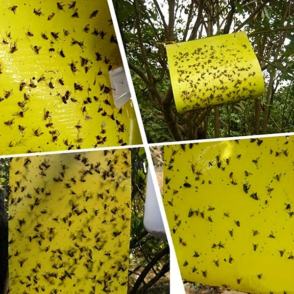 Planet Gates 50/100pcs Double-sided Flying Insect Traps Designed For Gardens And Farms Effectively Removes Small Flying Insects And Fruit Flies Improving Catching Efficiency