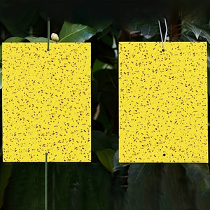 Planet Gates 50/100pcs Double-sided Flying Insect Traps Designed For Gardens And Farms Effectively Removes Small Flying Insects And Fruit Flies Improving Catching Efficiency