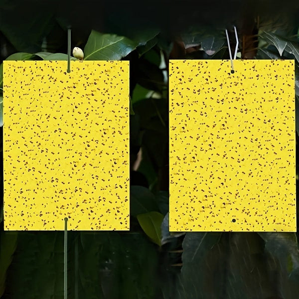 Planet Gates 50/100pcs Double-sided Flying Insect Traps Designed For Gardens And Farms Effectively Removes Small Flying Insects And Fruit Flies Improving Catching Efficiency