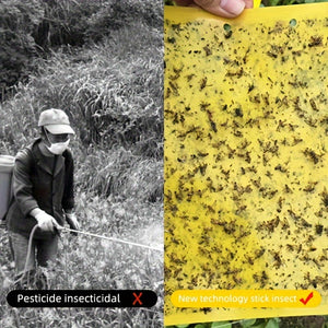 Planet Gates 50/100pcs Double-sided Flying Insect Traps Designed For Gardens And Farms Effectively Removes Small Flying Insects And Fruit Flies Improving Catching Efficiency