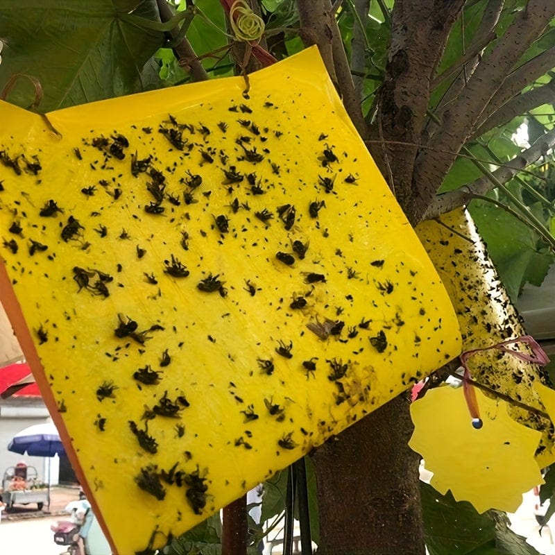 Planet Gates 50/100pcs Double-sided Flying Insect Traps Designed For Gardens And Farms Effectively Removes Small Flying Insects And Fruit Flies Improving Catching Efficiency