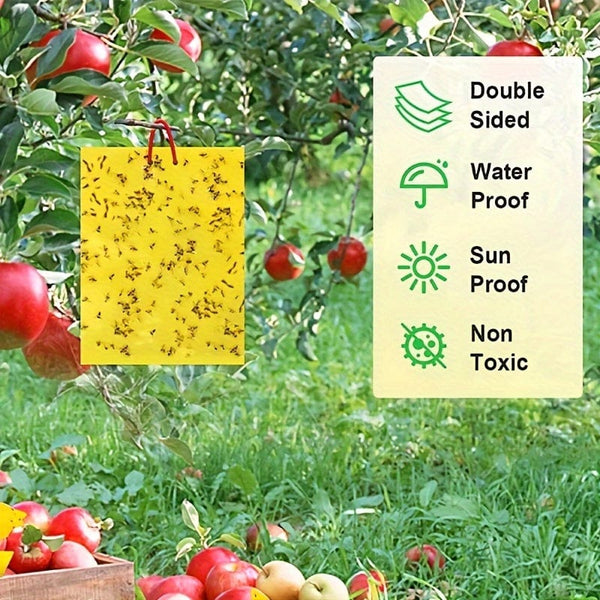 Planet Gates 50/100pcs Double-sided Flying Insect Traps Designed For Gardens And Farms Effectively Removes Small Flying Insects And Fruit Flies Improving Catching Efficiency