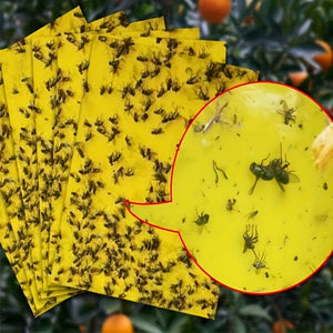Planet Gates 50/100pcs Double-sided Flying Insect Traps Designed For Gardens And Farms Effectively Removes Small Flying Insects And Fruit Flies Improving Catching Efficiency