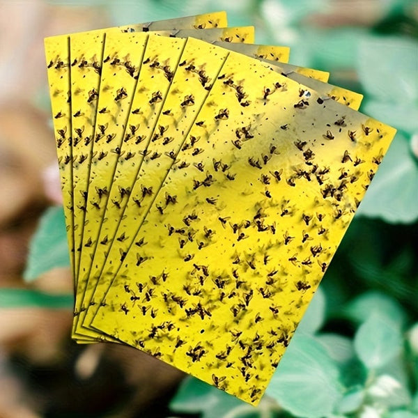 Planet Gates 50/100pcs Double-sided Flying Insect Traps Designed For Gardens And Farms Effectively Removes Small Flying Insects And Fruit Flies Improving Catching Efficiency