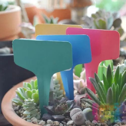 Planet Gates 100PCS 50/100pcs White Plastic PVC Plant T-type Tags Markers Nursery Garden Labels Seedling Tray  Pots Decoration   6x10cm