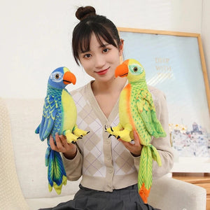 Planet Gates 50/70cm Cute Lifelike Parrot Plush Stuffed Animal Toy Soft Kawaii Simulation Bird Dolls for Children Girls Baby Birthday Gift