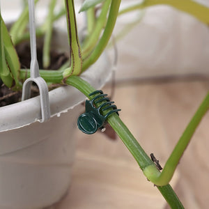 Planet Gates 50pcs 50pcs, Plant Clips Orchid Clips Plant Orchid Support Clips Flower Vine Clips For Supporting Stems Vines Stalks Climbing Plants Grow Upright