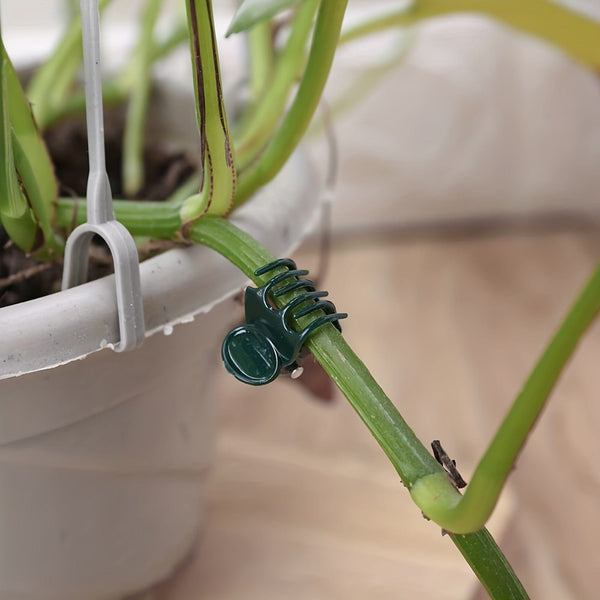 Planet Gates 50pcs 50pcs, Plant Clips Orchid Clips Plant Orchid Support Clips Flower Vine Clips For Supporting Stems Vines Stalks Climbing Plants Grow Upright