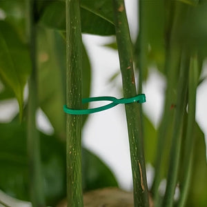 Planet Gates 50pcs 50pcs, Vegetables Tomato Vine Flower Clips, Plant Twist Clip, Garden Plant Support Clips, Plant Clips And Garden Clips For Other Vine Plants, For Climbing Plants, For Securing Plants