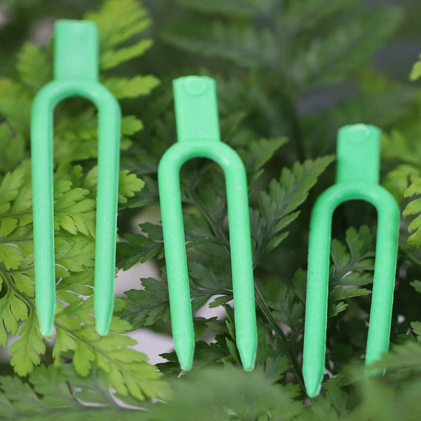 Planet Gates 50PCS Strawberry Planting Fork Green Stolon Fixator Watermelon Vine Pressing Device Garden Plants Fastening Fixture Clamp Clips