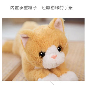 Planet Gates 53CM Cute Simulated Cat Doll Plush Toy Stuffed Soft Animal Plush white Gray Kitten Pillow Birthday Gift Pet Toys Decor
