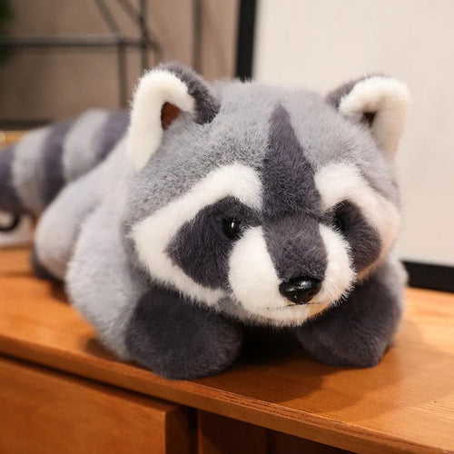 Planet Gates 55cm 40/55cm Kawaii Raccoon Plush Toy Lovely Raccoon Cute Soft Stuffed Animals Doll Pillow For  Birthday Gift