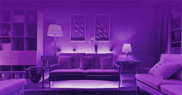 Planet Gates 5m Striplight US Yeelight Aurora Smart 5M Light Strip 1S Plus LED RGB Colorful WiFi Remote Control with APP Assistant Homekit for smart home