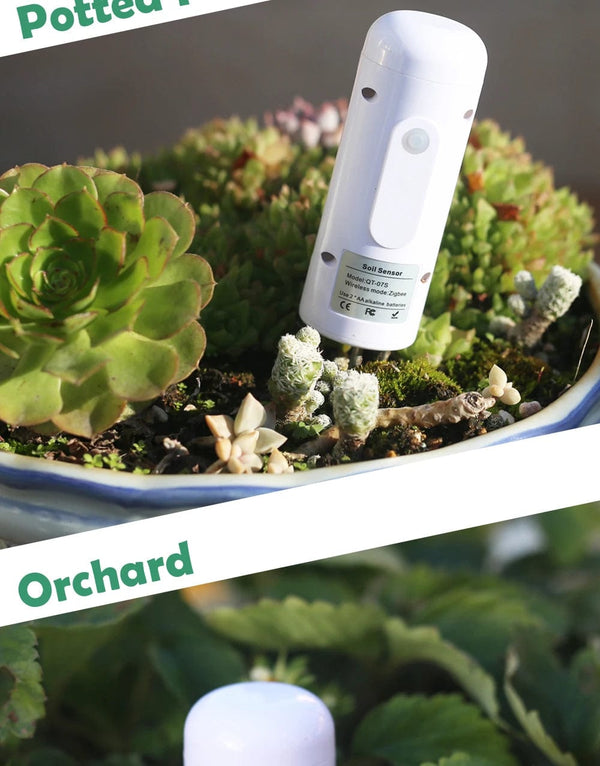 Planet Gates 5PCS GXM01 / CHINA ZIGBEE Plant Monitor Outdoor Soil Temperature Meter Moisture Humidity Tester Sensor Garden Automation Irrigation TUYA Detector