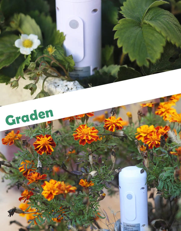 Planet Gates 5PCS GXM01 / CHINA ZIGBEE Plant Monitor Outdoor Soil Temperature Meter Moisture Humidity Tester Sensor Garden Automation Irrigation TUYA Detector