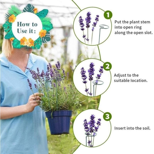 Planet Gates 5pcs, Potted Plant Support Rack/ Flower Vegetable Vine Climbing Bracket/ Balcony Creative Decorative Rack, Plant Fixed Rod Fixed Gardening Flower Plant Branch Dry Fixed Material Fiberglass Rod Rod Bonsai Support Rod Flower