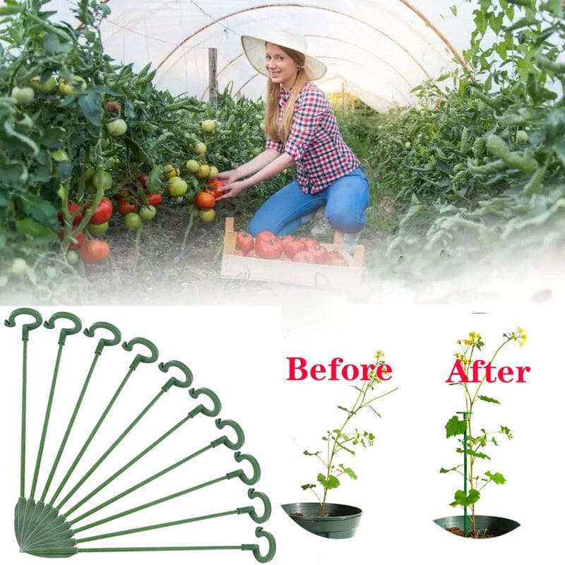 Planet Gates 5pcs, Potted Plant Support Rack/ Flower Vegetable Vine Climbing Bracket/ Balcony Creative Decorative Rack, Plant Fixed Rod Fixed Gardening Flower Plant Branch Dry Fixed Material Fiberglass Rod Rod Bonsai Support Rod Flower