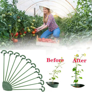 Planet Gates 5pcs, Potted Plant Support Rack/ Flower Vegetable Vine Climbing Bracket/ Balcony Creative Decorative Rack, Plant Fixed Rod Fixed Gardening Flower Plant Branch Dry Fixed Material Fiberglass Rod Rod Bonsai Support Rod Flower