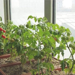 Planet Gates 5pcs, Potted Plant Support Rack/ Flower Vegetable Vine Climbing Bracket/ Balcony Creative Decorative Rack, Plant Fixed Rod Fixed Gardening Flower Plant Branch Dry Fixed Material Fiberglass Rod Rod Bonsai Support Rod Flower