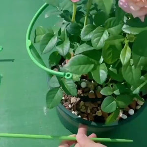 Planet Gates 6/18/30pcs Plant Support Stake, Plant Support Ring With Twist Strap, Flower Holder Bracket Splicable Flower Bracket Support Ring Support Rod Indoor Plant Flower Holder Balcony Chandelier Climbing Rattan Rack Pot