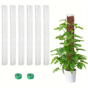 Planet Gates 60.96 Cm 6 Pack 6 Packs, Plastic Moss Poles For Plants 6X 24 Moss Poles For Climbing Plants Indoor Plant Support With D-Shape Design Enhance Growth And Greenery