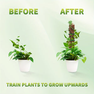 Planet Gates 60.96 Cm 6 Pack 6 Packs, Plastic Moss Poles For Plants 6X 24 Moss Poles For Climbing Plants Indoor Plant Support With D-Shape Design Enhance Growth And Greenery