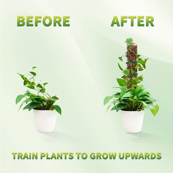 Planet Gates 60.96 Cm 6 Pack 6 Packs, Plastic Moss Poles For Plants 6X 24 Moss Poles For Climbing Plants Indoor Plant Support With D-Shape Design Enhance Growth And Greenery